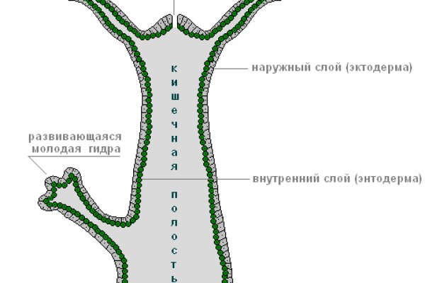 Кракен наркотики россия