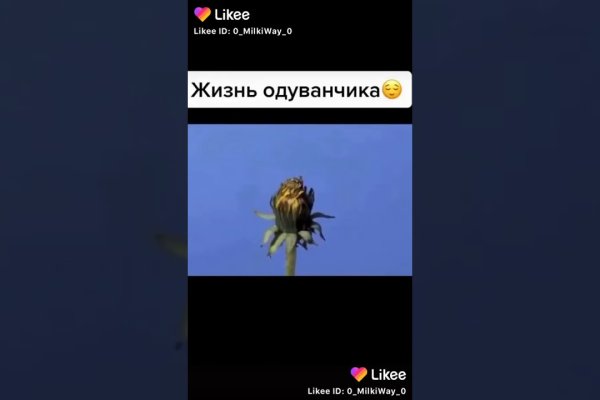 Кракен 12 сайт
